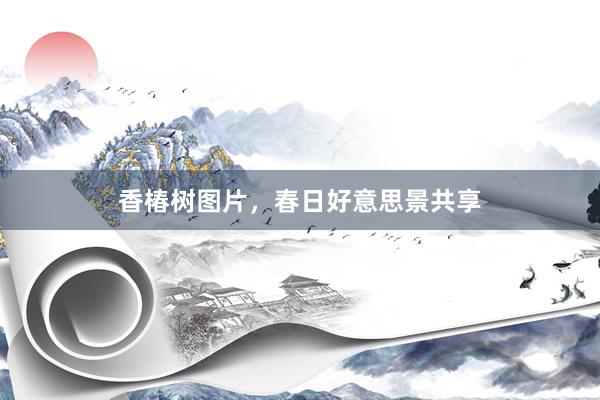 香椿树图片，春日好意思景共享